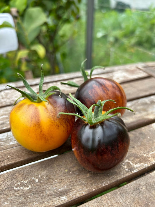 Tuinbox – Maandelijks Moestuin Box