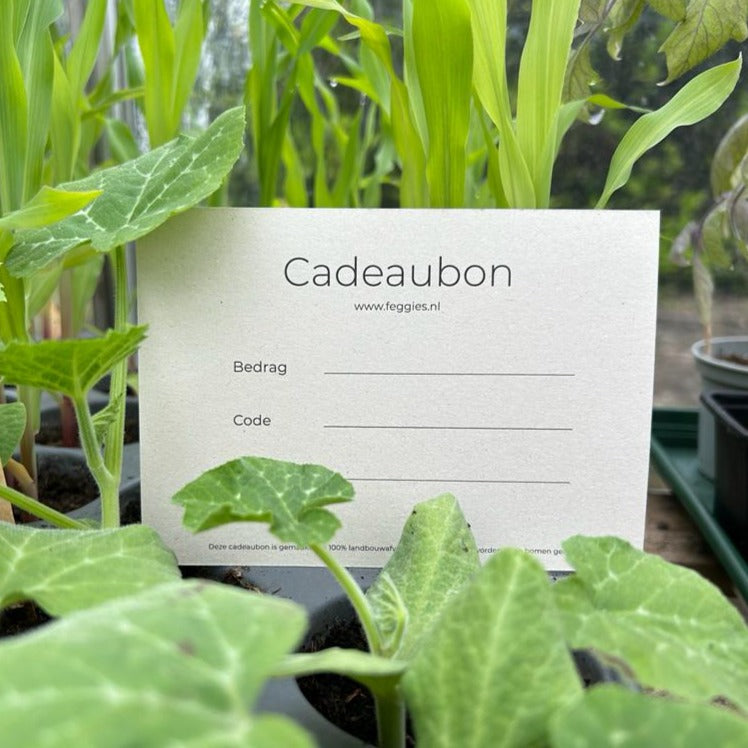 Feggies Cadeaubon t.w.v. 25 euro