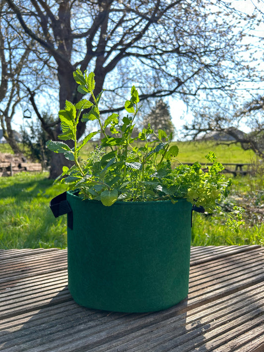 Feggies Grow Bag Kruiden || 19 liter