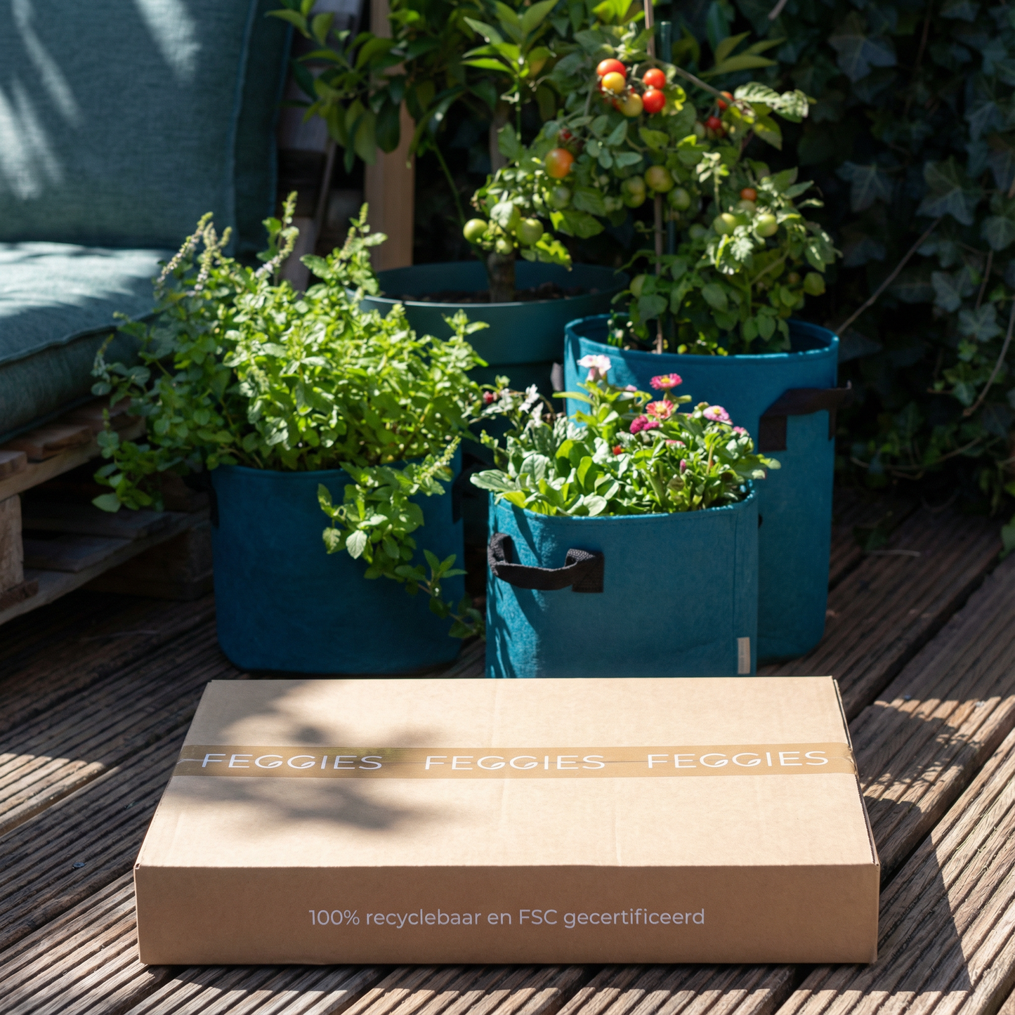Balkonbox – Maandelijks Moestuin Box